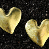 Auric Dawn Amora Titanium Earrings