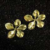Auric Dawn Floreia Titanium Earrings