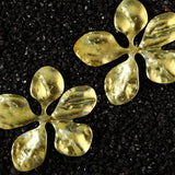 Auric Dawn Floreia Titanium Earrings