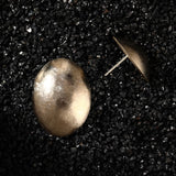 Dune Gold Nova Titanium Earrings