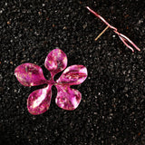 Raspberry Pink Floreia Titanium Earrings
